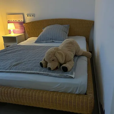 Апартаменты Neue Erdgeschosswohnung In Zentrum Von Rockenhausen