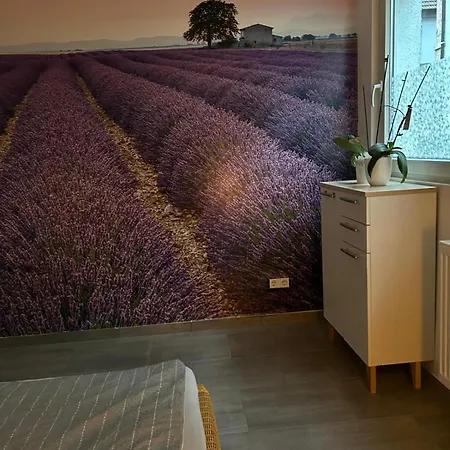 Neue Erdgeschosswohnung In Zentrum Von Apartment