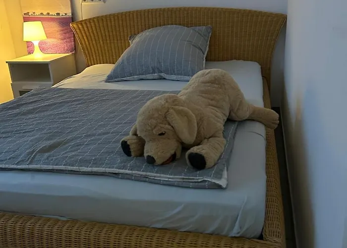 דירה Neue Erdgeschosswohnung In Zentrum Von Rockenhausen