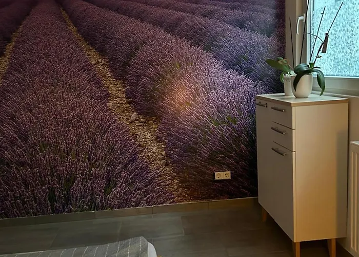 Neue Erdgeschosswohnung In Zentrum Von דירה